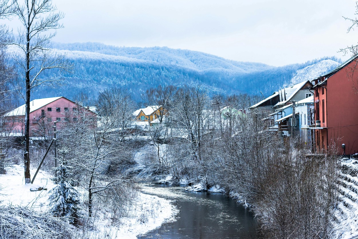 Winter river with snowy trees and houses on side. Mountain in background. Kosiv, Ukraine., 