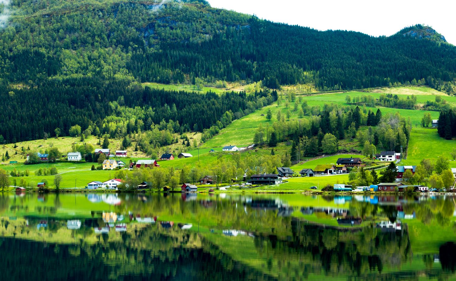 River Near Green Grass Field. Hol, Buskerud, Norway, 