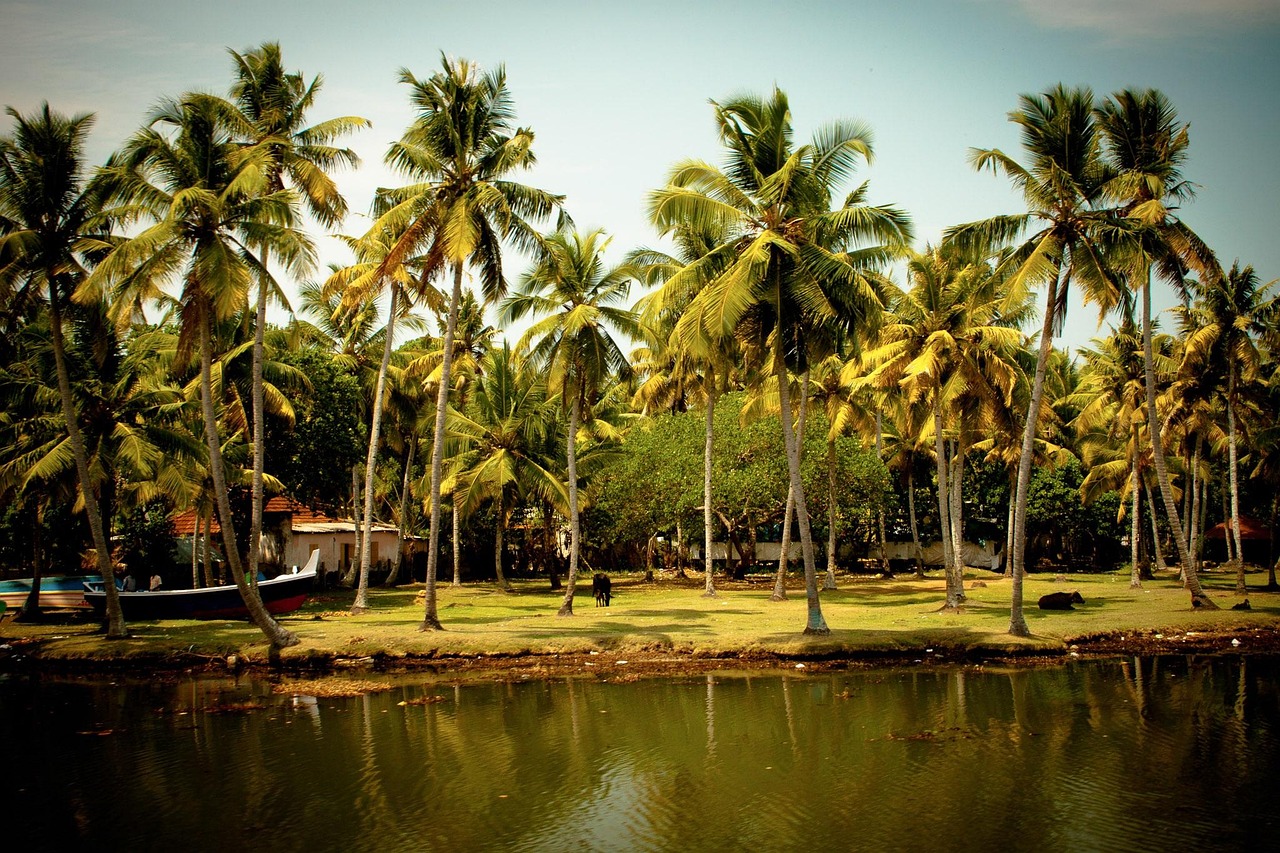South india, Backwaters, India image, 