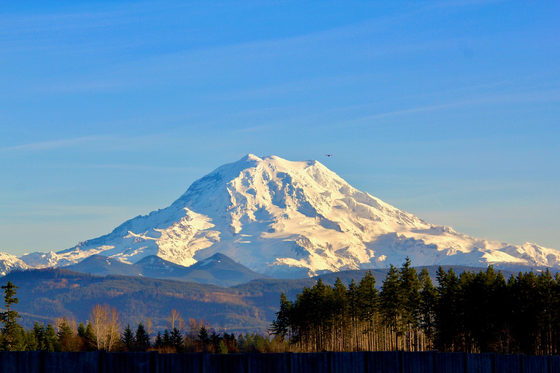 Mt. Rainier, 
